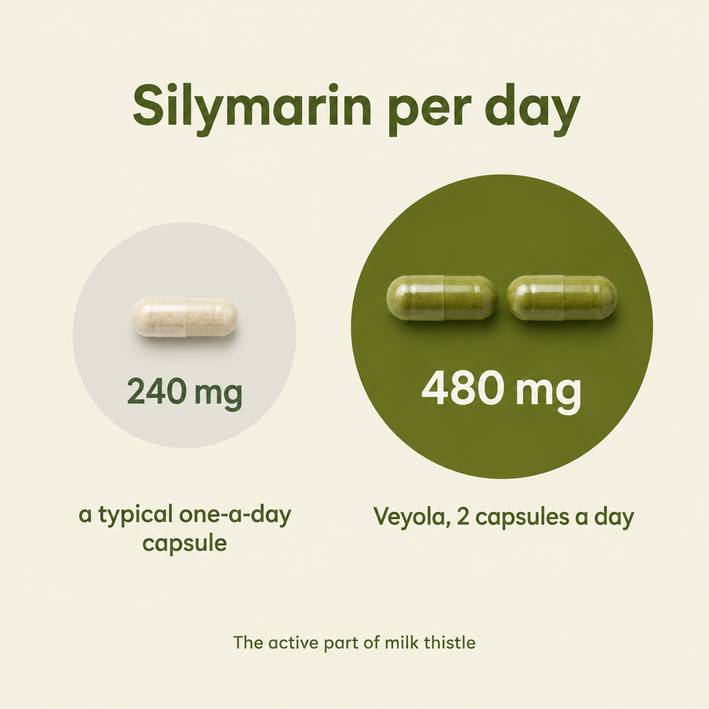 Graphic comparing 240 mg silymarin in a typical capsule with 480 mg in Veyola