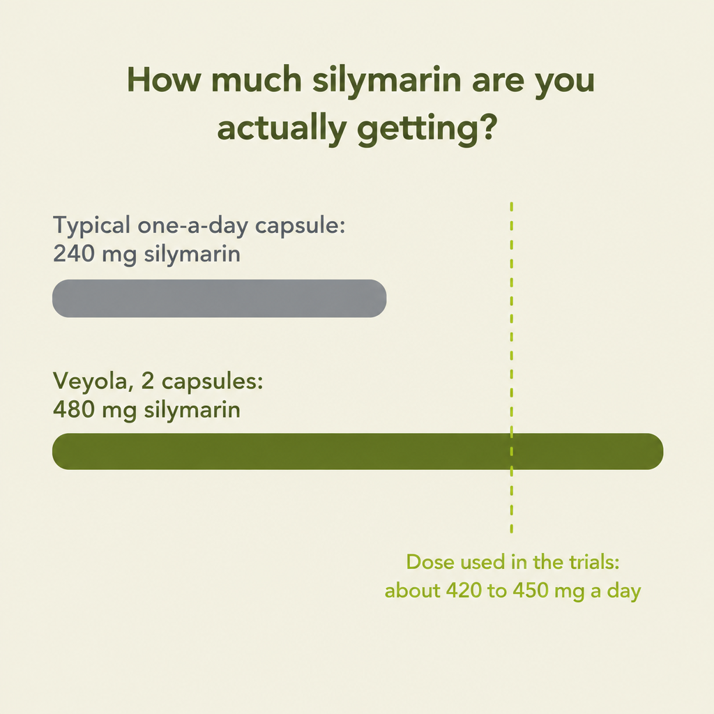 Chart comparing 240 mg silymarin in a typical capsule with 480 mg in Veyola